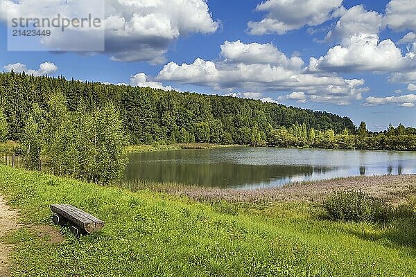 Landscape with lake in Flenovo park in summer  Russia  Europe