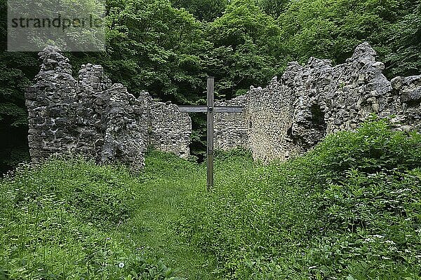 Riederberg Franciscan monastery ruins (Sancta Maria in Paradyso)  Austria  Europe