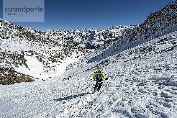 Ski tourers descending from the summit of the Madritschspitze  mountain panorama with snow-covered mountain landscape in winter  Ortler Alps  Vinschgau Valley  Italy  Europe