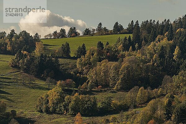 Mountain landscape in autumn. Lower Rhine  Alsace  France  Europe