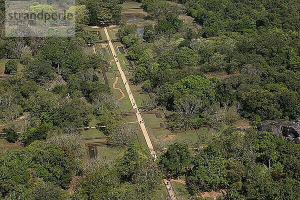 Path through the water garden to the ruined city of Sigiriya  bird's eye view  Central Province  Sri Lanka  Asia