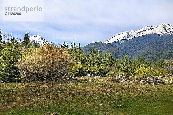 Bansko  Bulgaria spring woods and Pirin snow mountain peaks  panorama of bulgarian all season resort