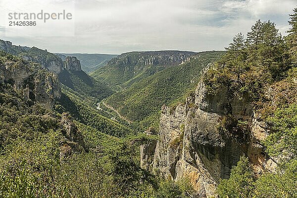 Gorges of Tarn seen from hiking trail on the corniches of Causse Mejean above the Tarn Gorges. La bourgarie  Lozere  France  Europe