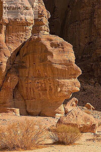 Stone rock head in Wadi Rum desert  The Valley of the Moon  southern Jordan