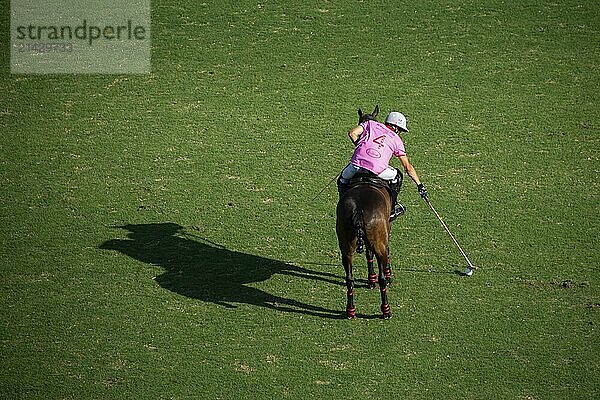 Scene from the 131st Argentine Open Polo Championship (Spanish: Campeonato Argentino Abierto de Polo)  Teodoro Lacau from the Indios Chapaleufú team positions the ball in the match against La Hache Polo Team  16/11/2024  Palermo  Buenos Aires  Argentina  South America