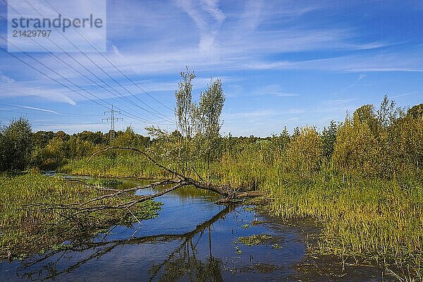 Bottrop-Gladbeck  North Rhine-Westphalia  Germany  Renaturalised Boye  the tributary of the Emscher  was transformed into a near-natural watercourse  flood protection through newly designed flooding areas  the Boye is now free of wastewater following the construction of a parallel sewer  is part of the Emscher river system and thus part of the Emscher conversion  was previously an open  above-ground wastewater sewer  mixed sewer with surface water and wastewater  Europe