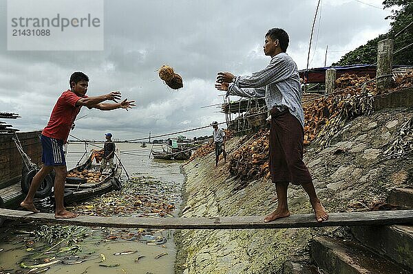 04.08.2013  Yangon  Myanmar  Asia  Two workers unloading a cargo ship loaded with coconuts on the banks of the Yangon River  Asia