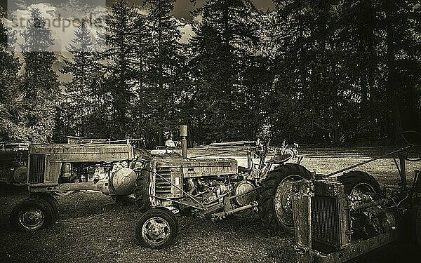 Antique Tractors in a Field  Black and White Image  USA  North America