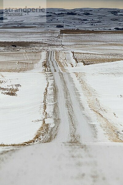 Prairie Landscape in winter Saskatchewan Canada scenic