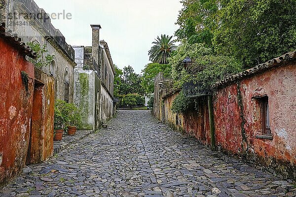 Colonia del Sacramento  Colonia  Uruguay  The calle de los suspiros (alleyway of sighs) is one of the most famous sights in Colonia del Sacramento. Colonia del Sacramento is a city on the Río de la Plata in Uruguay. It is the capital of the department of Colonia. Colonia del Sacramento is the oldest city in Uruguay and its historic centre  a popular tourist destination  has been declared a UNESCO World Heritage Site  South America