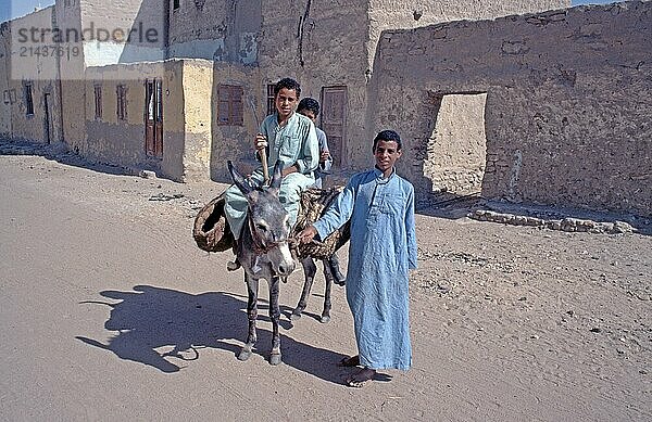 Children  boys on donkeys posing for photo  Al-Bahariyya Oasis  Libyan Desert  Egypt  Africa