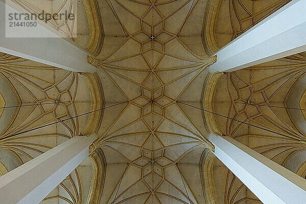 Vaulted ceiling in St Mary's Church  Munich  Bavaria  Germany  Europe