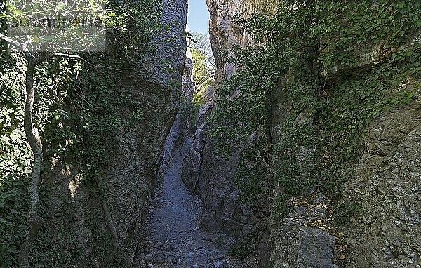 Crimea. View of a narrow gorge. It is believed that the stairs in this gorge is made by the ancient Tauris  who lived here at the beginning of the Common Era