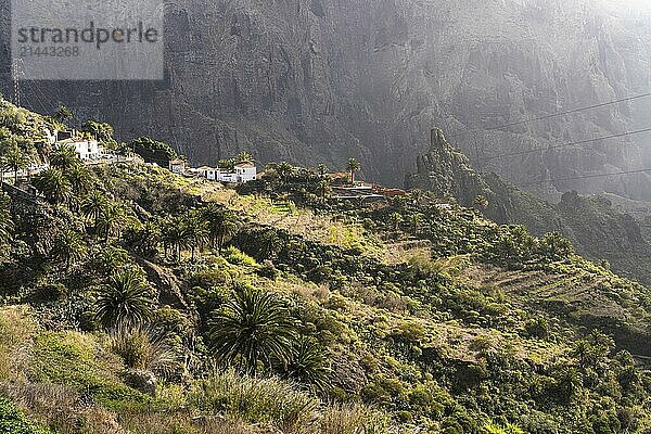 Masca mountain village and the gorge in the Teno Mountains  Masca  Tenerife  Canary Islands  Spain  Europe