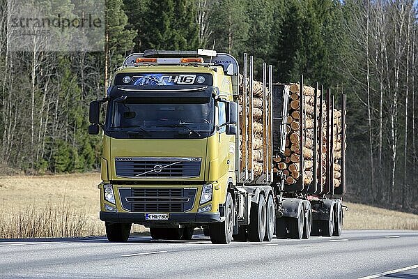 SALO  FINLAND  APRIL 21  2017: Yellow Volvo FH16 logging truck transports a load of pine logs along highway at spring