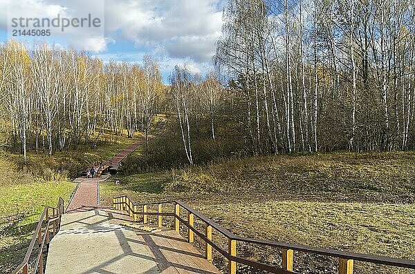 A footpath that crosses a shallow ravine in the forest park. Sunny day at the end of October. Moscow  Russia  Europe