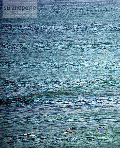 Surfers paddle out at San Onofre State Beach in San Onofre  Calif.  on Sept. 12  2010. The beach is a popular spot for surfers  as well as a place of frequent shark sitings.