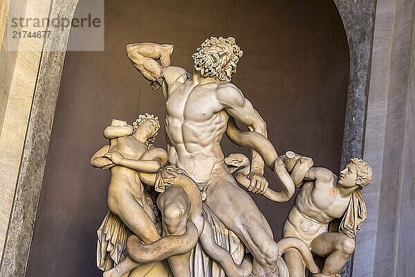 Italy  Rome  Vatican Museum  Laocoon Group Austria  Europe