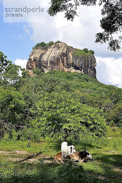 Der Felsen von Sigiriya in Sri Lanka