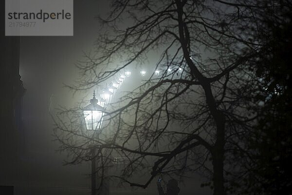 Dresden's Old Town shrouded in November fog. Brühl's Terrace  foggy atmosphere in Dresden  Dresden  Saxony  Germany  Europe