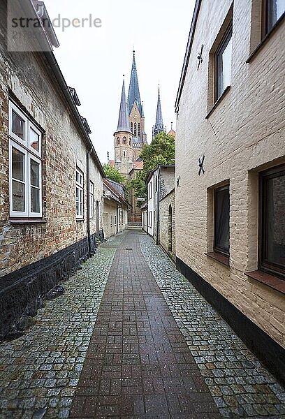 Schleswig Cathedral  Schleswig  Schleswig-Holstein  Germany  Europe