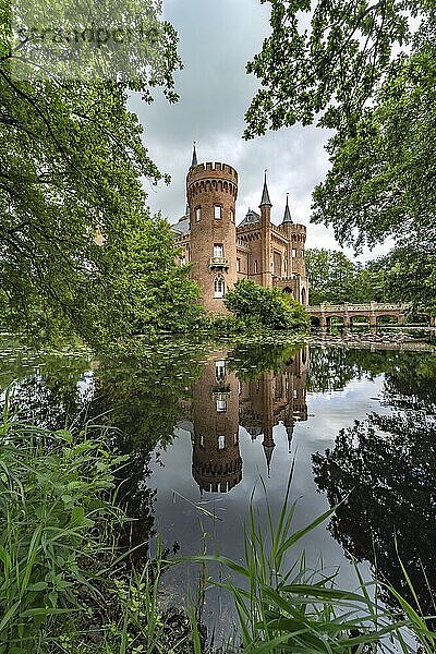 Schloss Moyland moated castle  Bedburg-Hau  Kleve district  North Rhine-Westphalia  Germany  Europe