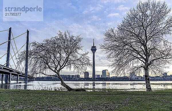 View of the Rhine knee bridge over the Rhine near Düsseldorf  from the Rhine meadows in Düsseldorf-Oberkassel  Rhine Tower  North Rhine-Westphalia  Germany  Europe