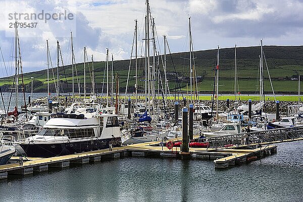 Dingle Harbour  Marina  Dingle  Dingle Peninsula  County Kerry  Slea Head Drive  Wild Atlantic Way  Ireland  Europe