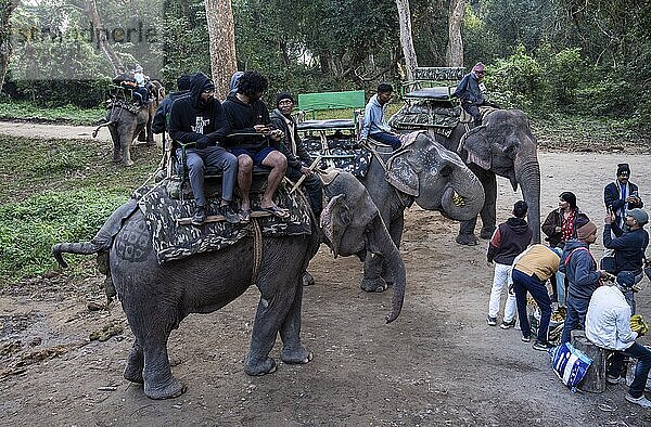 Tourists ride elephants during a safari at Kaziranga National Park on December 5  2024 in Kaziranga  India. Kaziranga National Park  in Assam is a UNESCO World Heritage Site renowned for its biodiversity