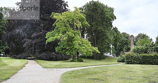 DEU  Germany  Sellin (Rügen) : The Workers' Welfare Organisation (AWO) has designed a trip for senior citizens to Rügen as a special experience for its guests. Putbus: The town park has a large proportion of older and very old trees  Europe