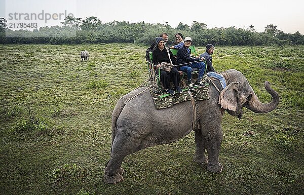 Tourists ride elephants during a safari at Kaziranga National Park on December 5  2024 in Kaziranga  India. Kaziranga National Park  in Assam is a UNESCO World Heritage Site renowned for its biodiversity