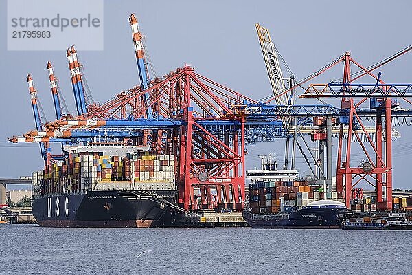 Hamburg  Germany - Container ships in the Port of Hamburg  container ship MSC Maria Saveria of the shipping company MSC is moored at the Eurogate container terminal. The 366 metre long container ship Maria Saveria carries up to 12  400 sea containers. The Port of Hamburg is the end point of the maritime Silk Road to China