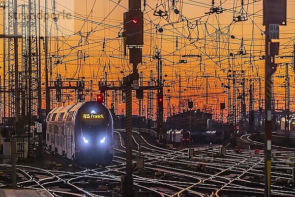 Track apron with trains  rails  points  pylons and signalling systems. Infrastructure at the main station. Sunset. Frankfurt am Main  Hesse  Germany  Europe