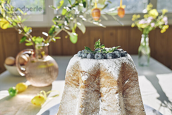 Pandoro bread decorated with icing sugar and blueberries