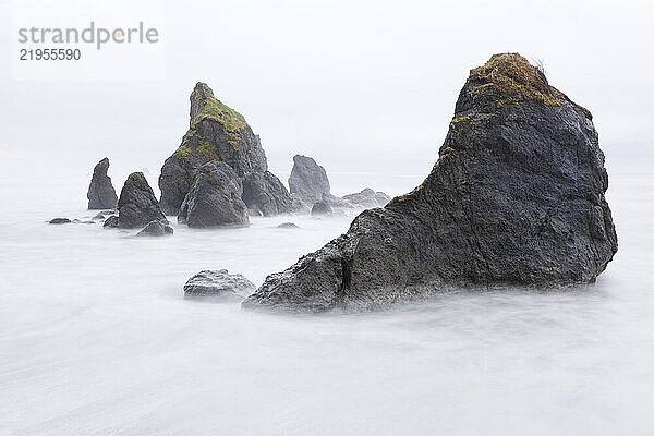 Dramatic sea stacks at Ruby Beach  Olympic National Park  Washington.