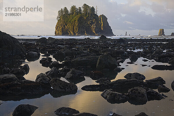 Sunrise light strikes a large sea stack at Second Beach  Olympic National Park  Washington.