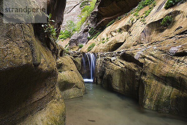 A small waterfall in Orderville Canyon  a beautiful side canyon of the Zion Narrows in Zion National Park  Utah.