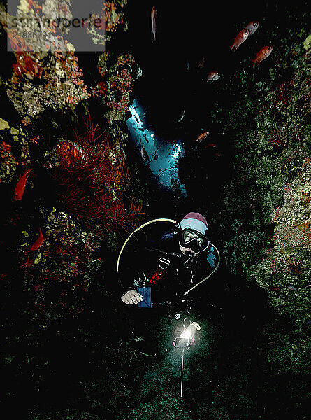 diver exploring a coral reef in the Maldives